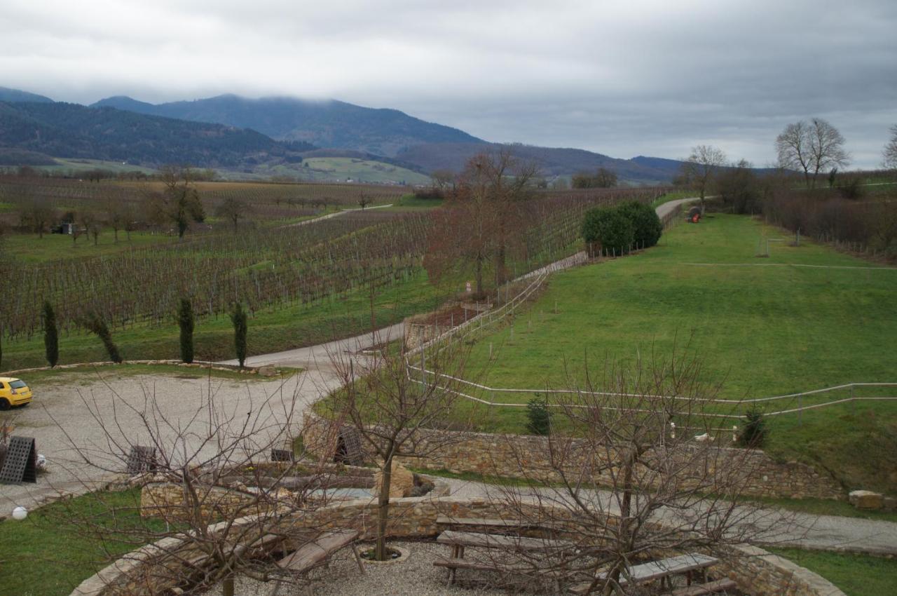 Ferienwohnung Castellberg Heitersheim Dış mekan fotoğraf
