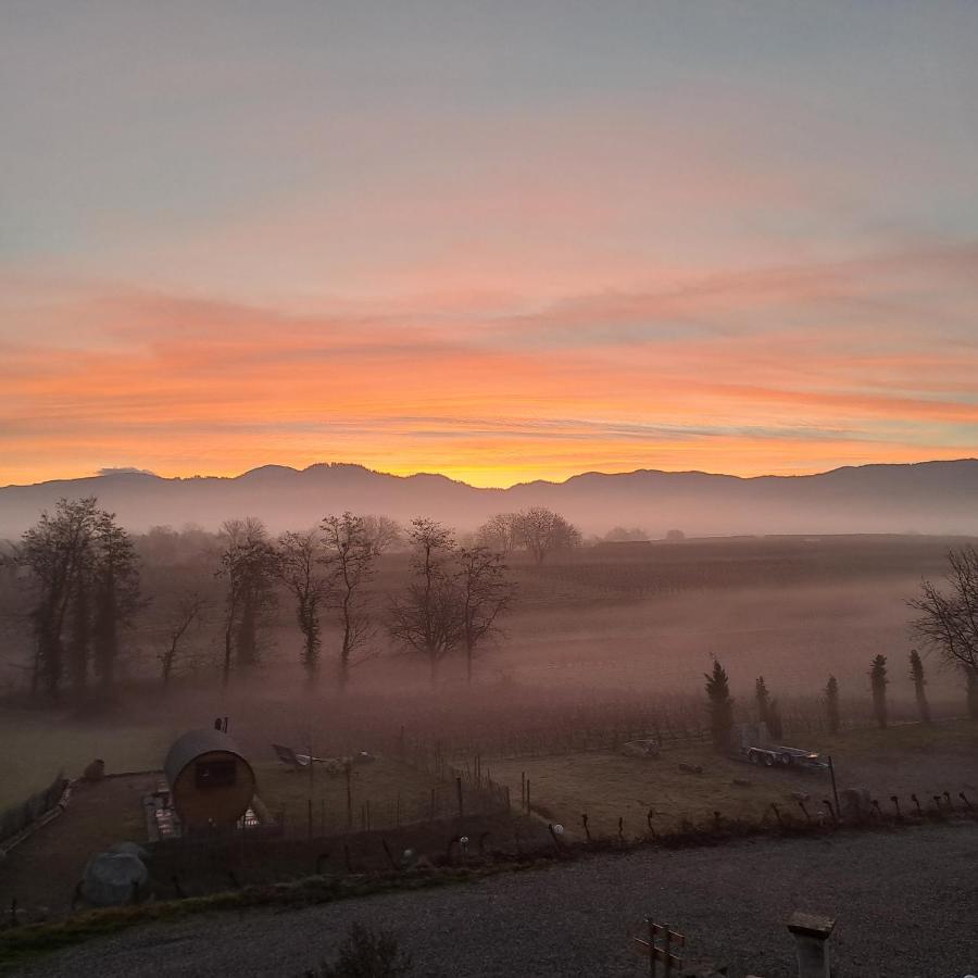 Ferienwohnung Castellberg Heitersheim Dış mekan fotoğraf