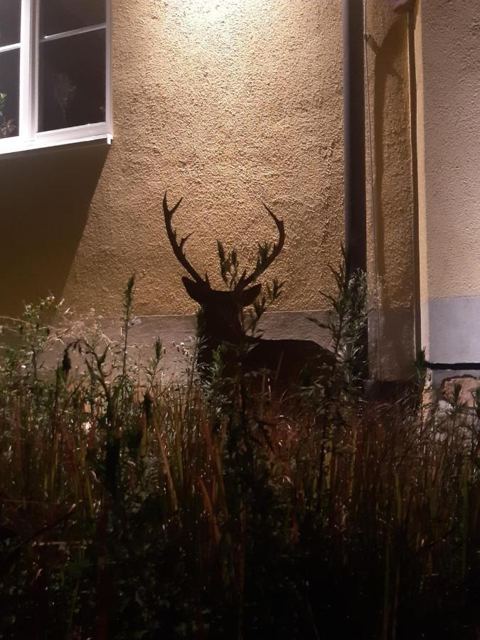 Ferienwohnung Castellberg Heitersheim Dış mekan fotoğraf