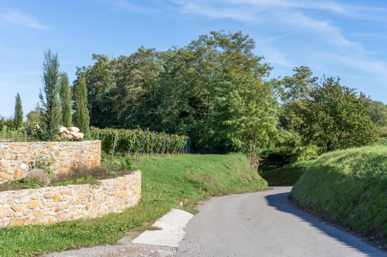 Ferienwohnung Castellberg Heitersheim Dış mekan fotoğraf